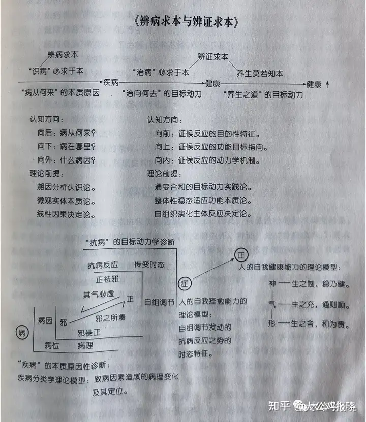 大公鸡报晓