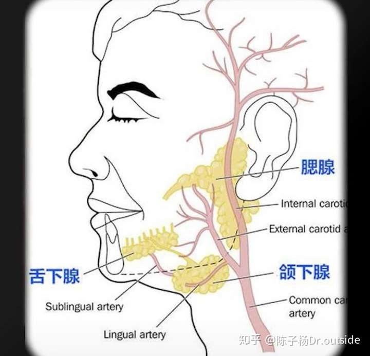 這一發現具有哪些意義?