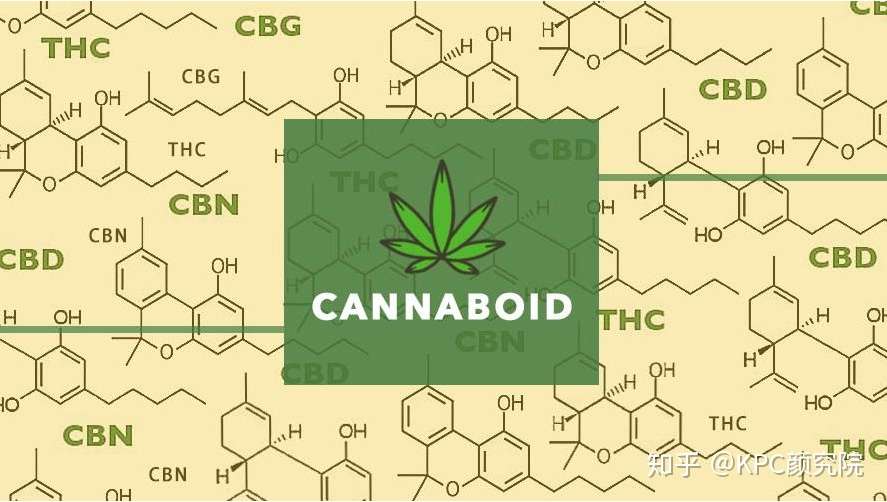 战 痘 美白 抗皱 大麻护肤居然 十项全能 知乎