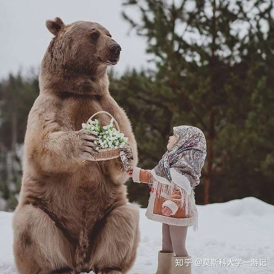 俄罗斯人是不是真的不怕熊 知乎 俄罗斯人是不是真的不怕熊 知乎
