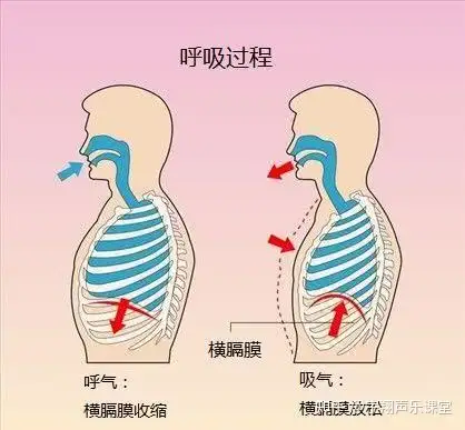 金葫芦银葫芦绕口令图片