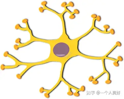 什麼是末梢神經炎 末梢神經炎的預後護理 - 知乎