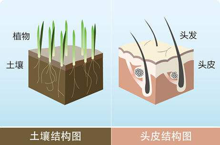 植发医院哪家好？植发效果能保持多久？读完这篇，帮你选出中意植发医院丨植发要多少钱一般