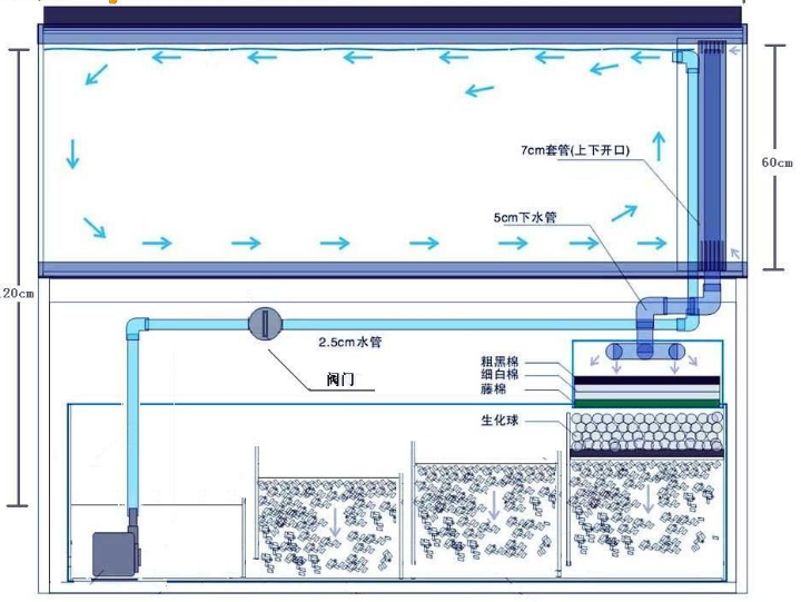 草缸新手入了一个成品缸日常维护想问问各位大神
