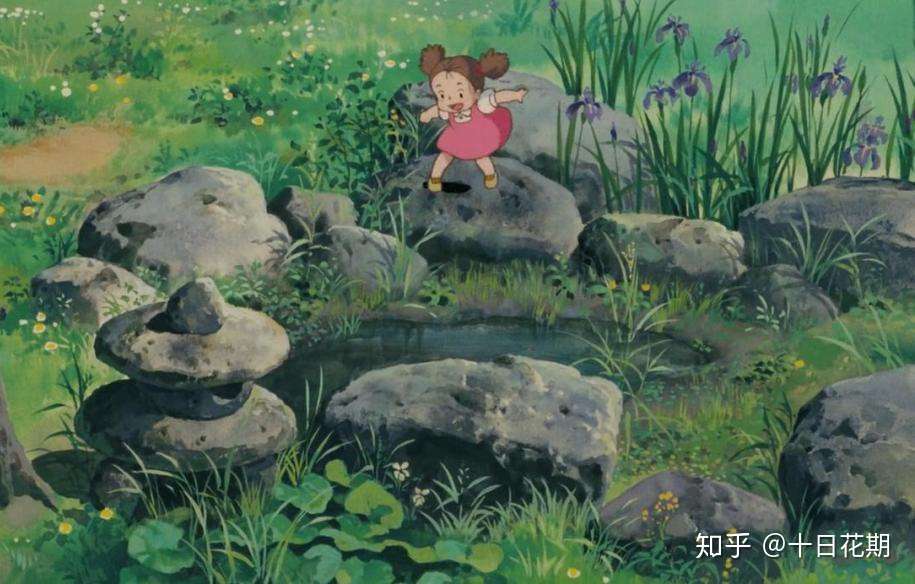 听说 龙猫 终于要在中国院线公映了 一起去更大的荧幕寻宝花草吧 知乎