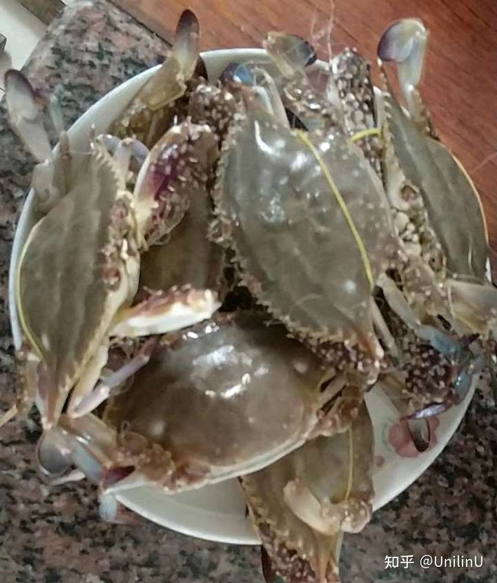 不来看我不夹你 kaka~