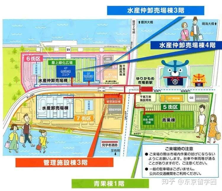 市場 豊洲