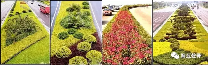详解|城市道路绿地景观设计