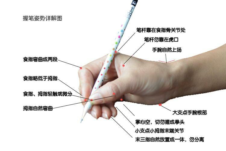 钢笔的握笔姿势图解图片
