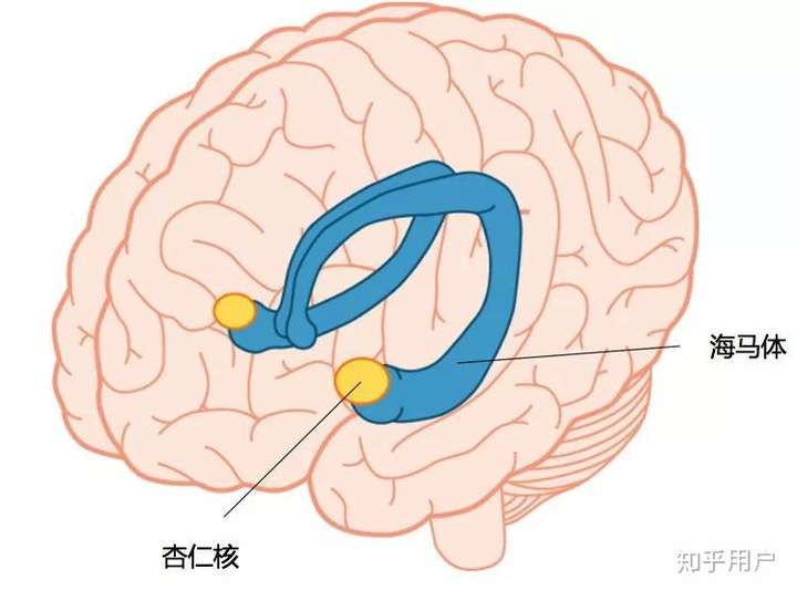 心理抗壓能力是否因人而異