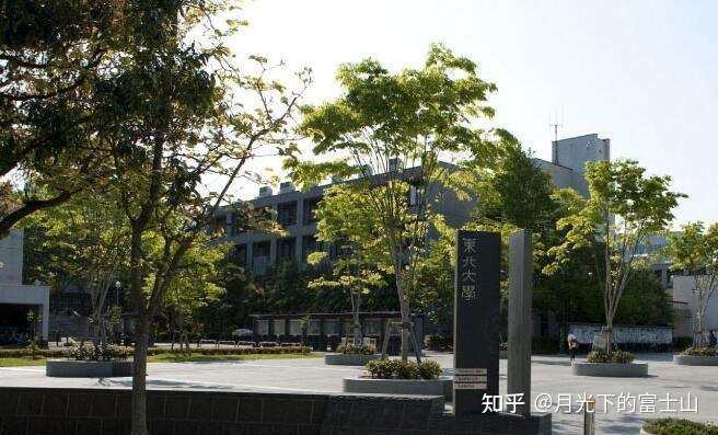 泰晤士排名日本第一的东北大学 知乎