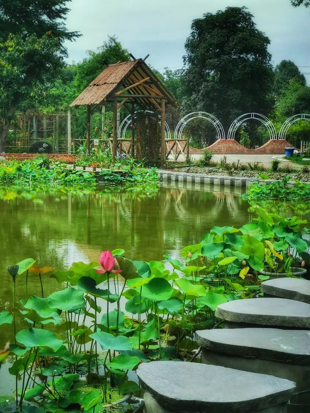 一眼心动 在温江 遇见万花 拾景园 知乎