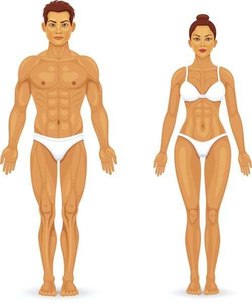 在同性恋看来男和女有什么区别?