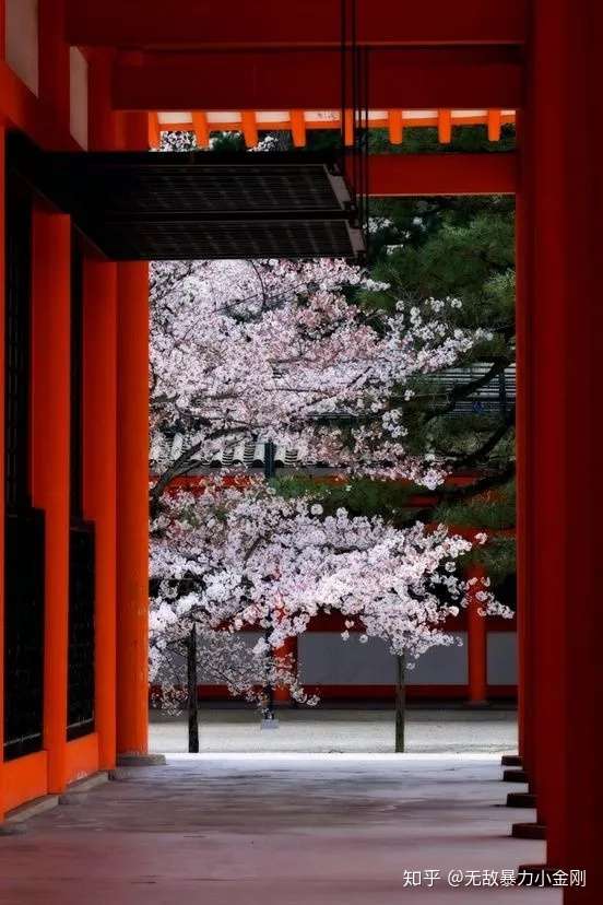 平安神宫 日本最盛唐风格的景点 知乎