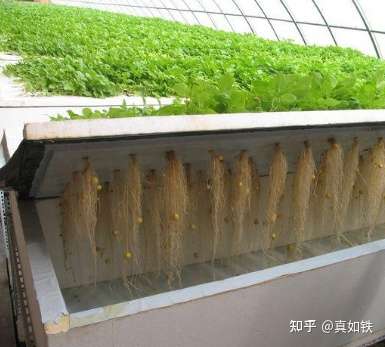 虫子最新资讯-快科技--科技改变未来