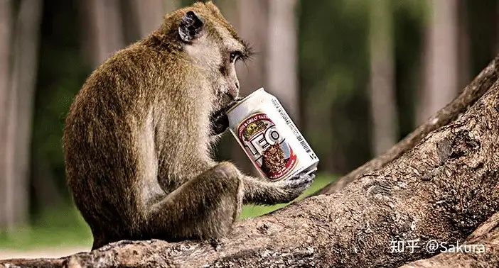 人的酒量还不如一只动物 关于酒的6个冷知识 让喝酒变得更有趣 知乎