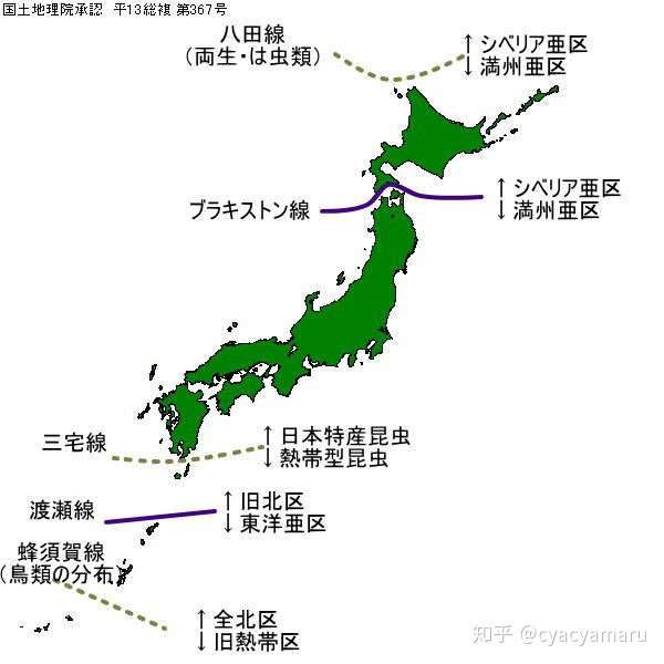 黄金神威》中的动物考据(1) - 知乎
