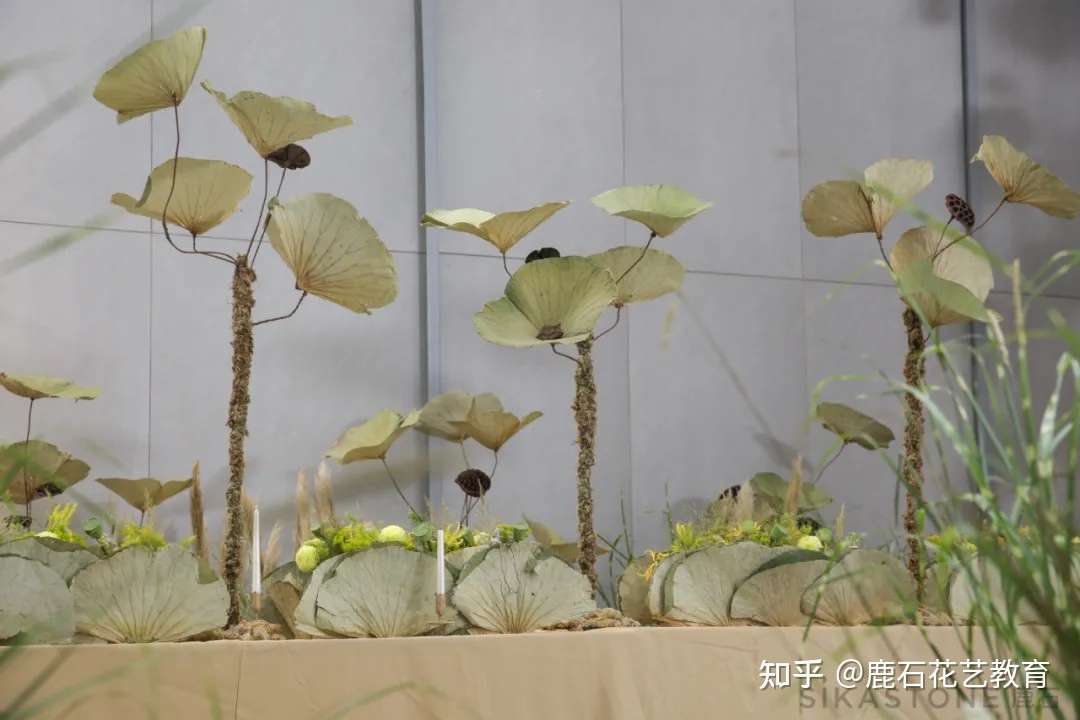 9小时65朵荷叶 夏日池塘畔的清凉晚宴 知乎