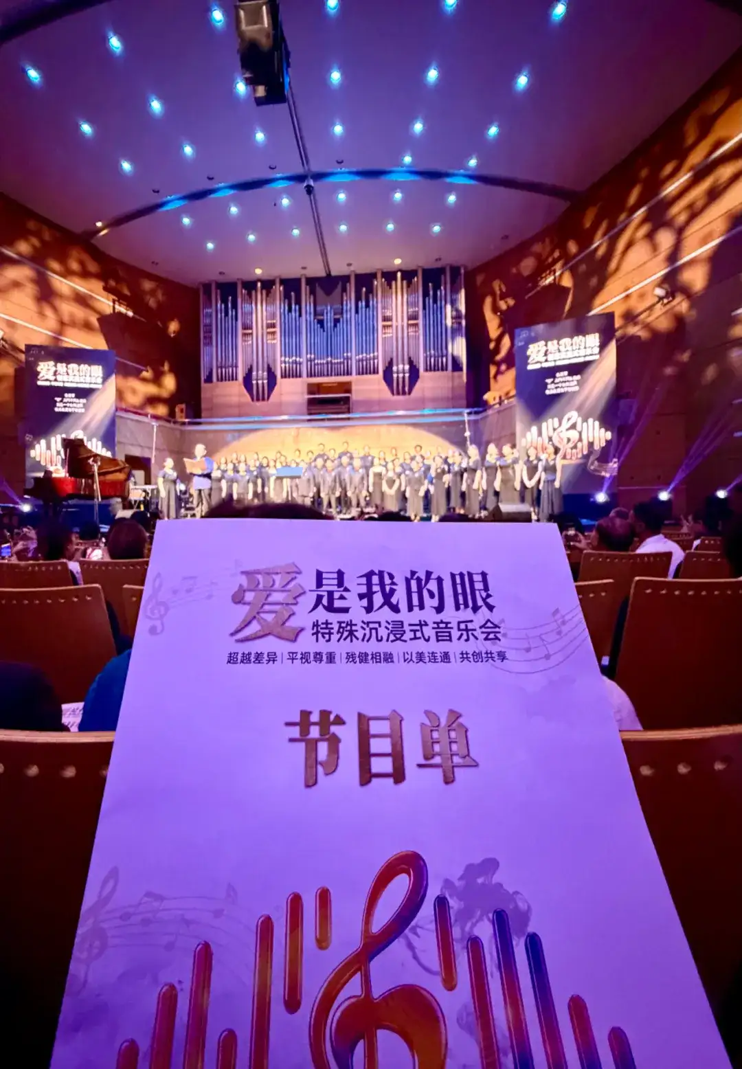 徐迅雷:爱是我的眼睛,爱是你的心灵(图2)
