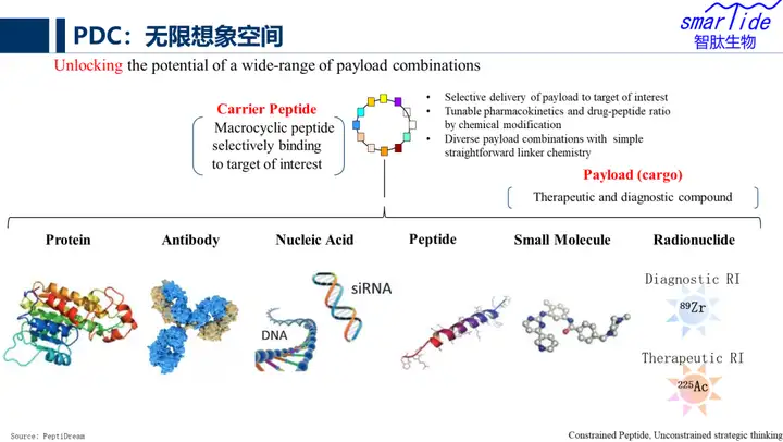 图片[5]-从百年多肽发展史看多肽药物发展机会-Hypeptide