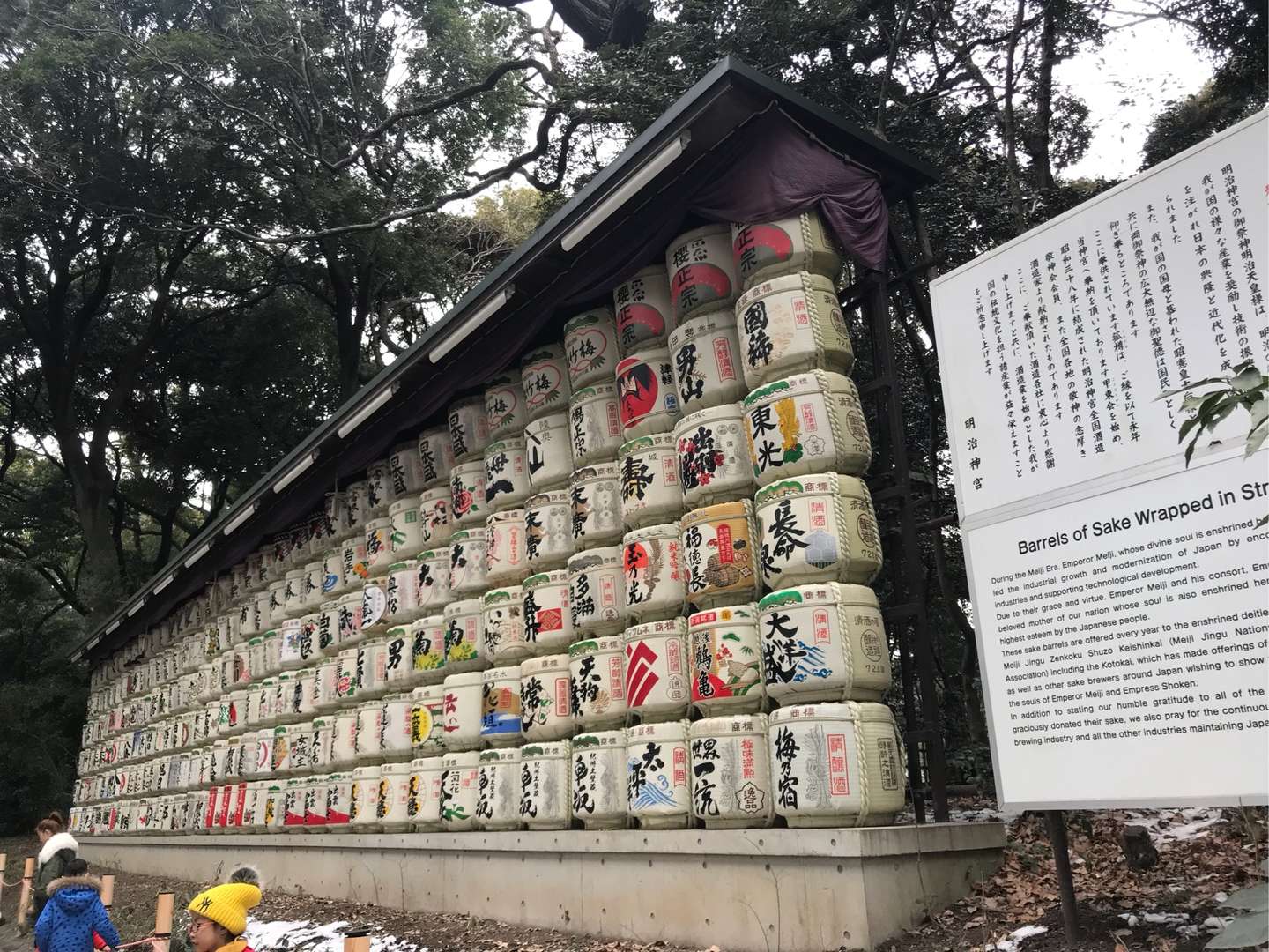 一个人的日本之旅 二 明治神宫 知乎