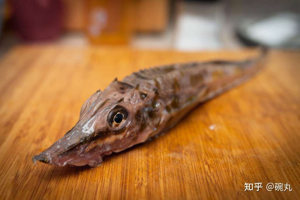 特鳍 这种别名为 八角 的鱼 到底有多香 知乎