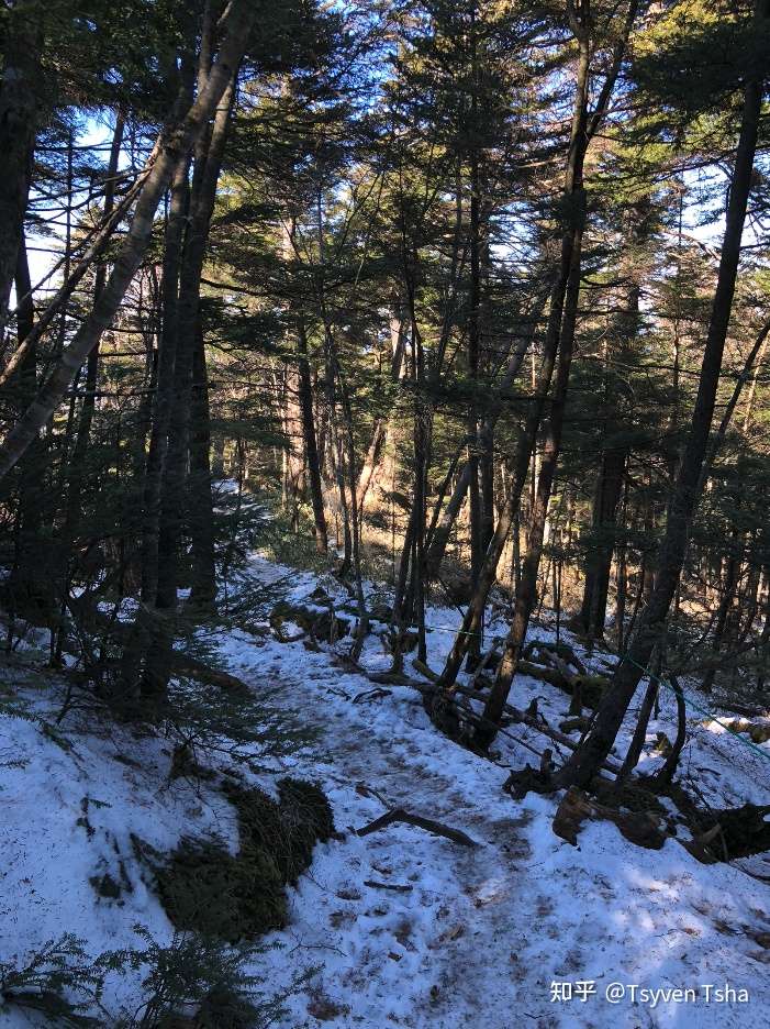 日本百名山雲取山日歸登山 知乎