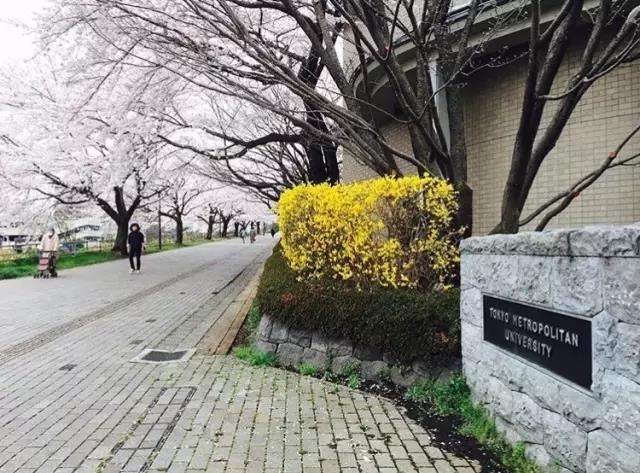 国内知名度低 这所隐藏的高排名日本大学很低调 知乎
