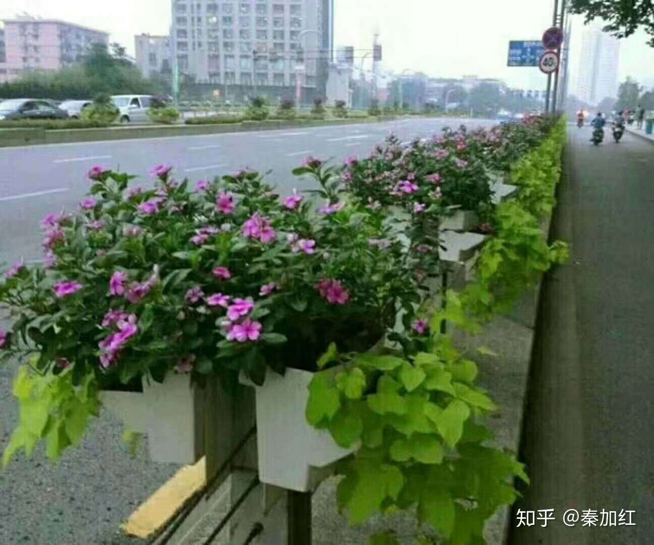道路景观提升 看看美国人是怎么样做的 知乎