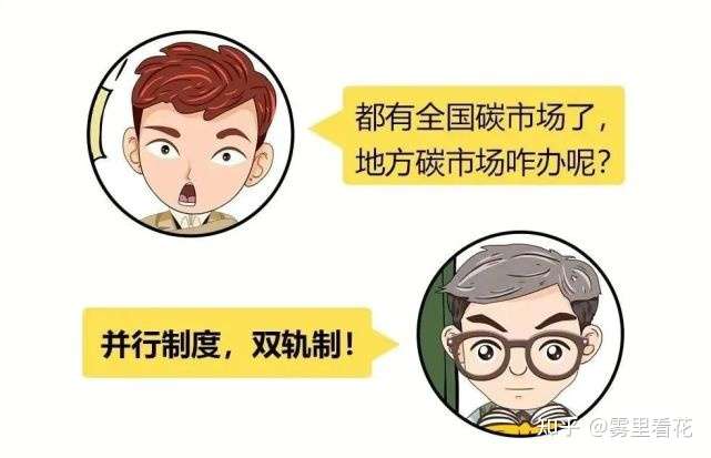 碳全国市场与地方试点啥关系？-碳中和人才平台