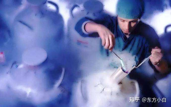 中国十大试管婴儿排名（科普知识|试管婴儿中的冻胚、鲜胚、囊胚分别是什么？）