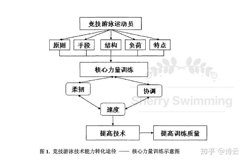 不同泳姿不同核心需求 关于核心力量的干货都在这里 知乎