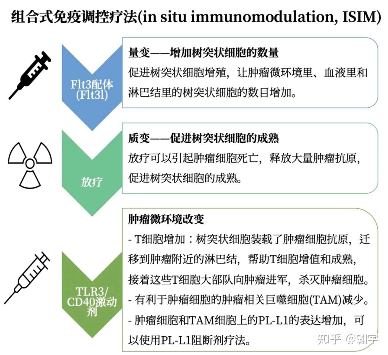 免疫疗法 杀手t细胞不给力 树突状细胞来助攻 知乎