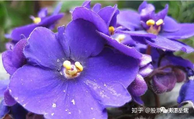 A股 花自飘零水自流 漫山红遍 可知秋 知乎