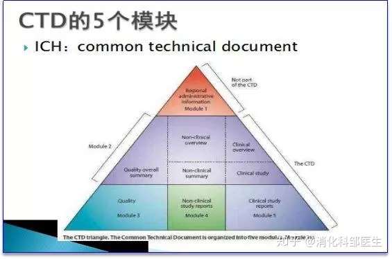 医药行业经常出现的“eCTD”到底是什么？