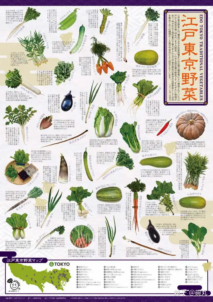 芜菁 圣护院芜菁与芽芜菁 日本芜菁的大小世界 知乎