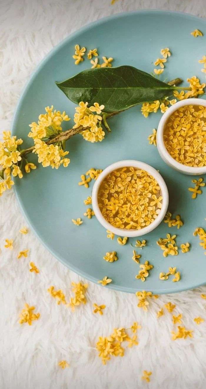 植库 秋天是什么味道 一定是桂花味 知乎