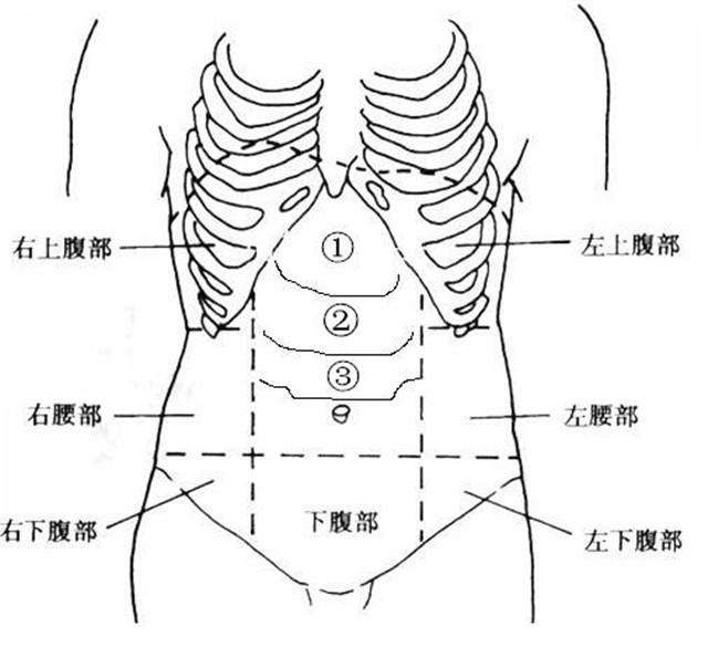 胃上部老是觉得东西 总是觉得有充塞感 该如何用药 知乎