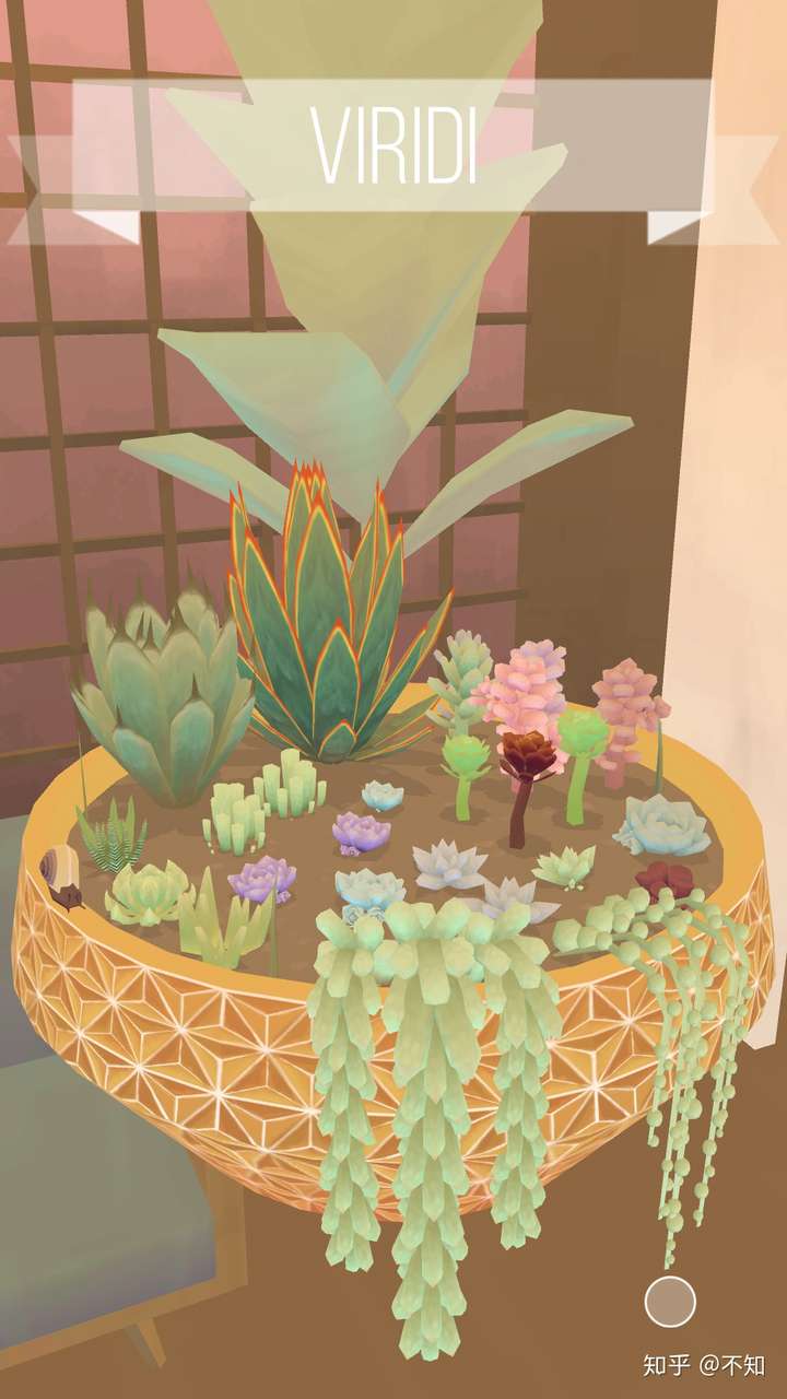 电子盆栽.他是自己一天一天长大的那种.可以试着搜搜免费版本.