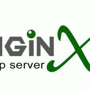 Nginx не отдает файлы