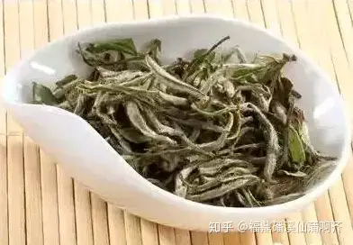 福鼎白茶介绍- 知乎