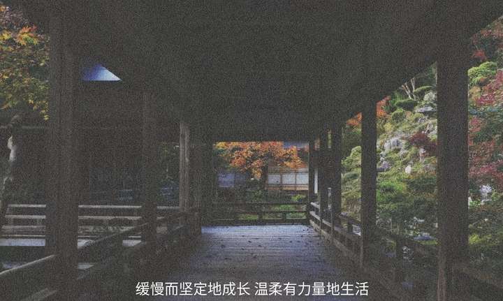 有哪些神仙句子让你记到现在的?插图14 有哪些神仙句子让你记到现在的?插图14