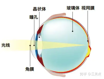 德国蔡司晶体图片