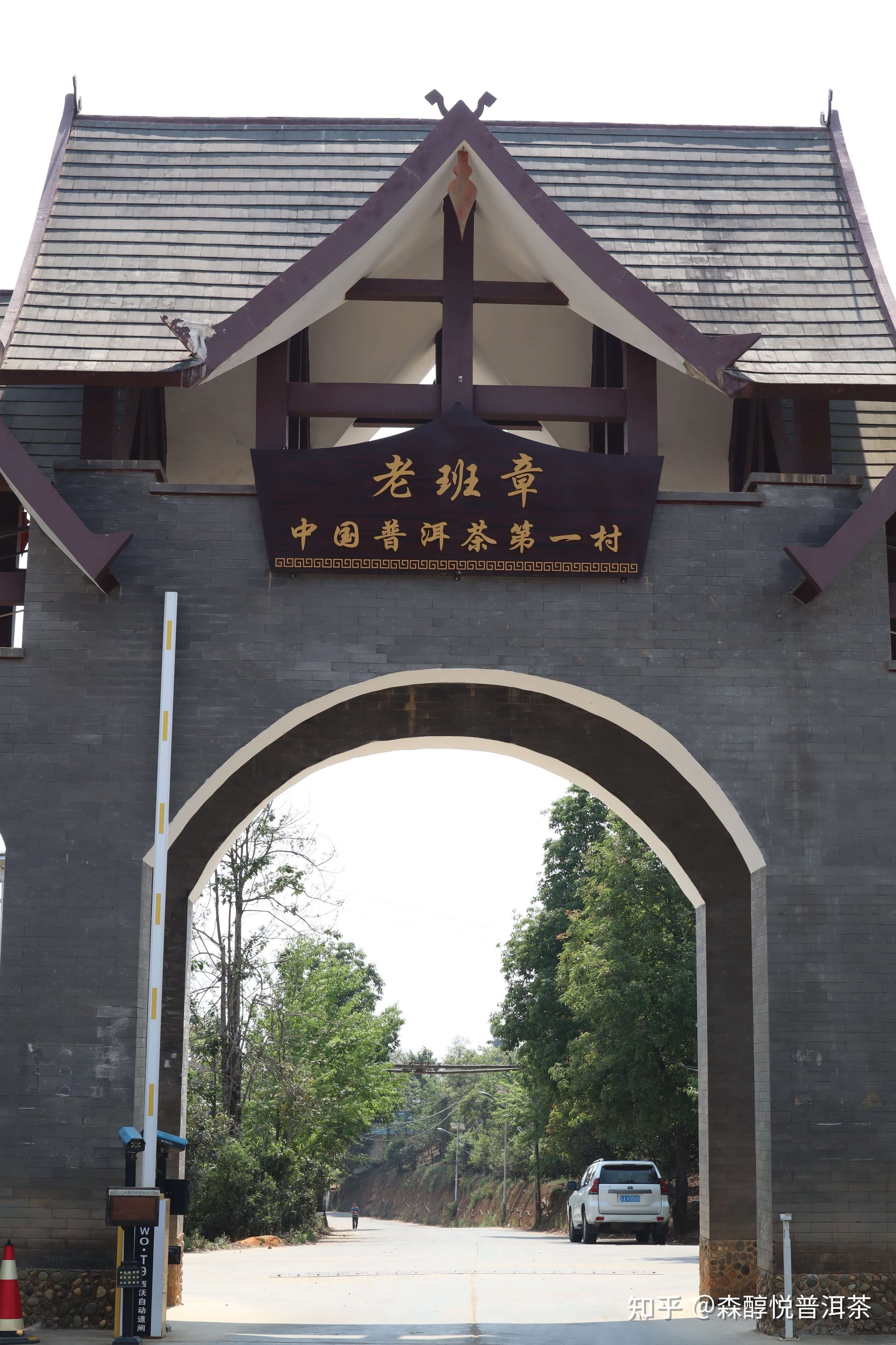 班章五寨滋味如何