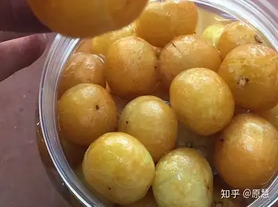 以前不起眼的小零嘴如今是超級食物餘甘子你吃過嘛