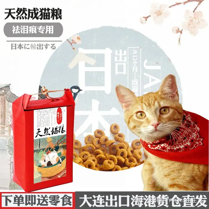 金吉拉猫，怎么养？