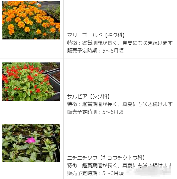 副业是卖菜卖酒卖咖啡 兼职文化遗产管理 小众国公立茨城大学多重身份大揭秘 知乎