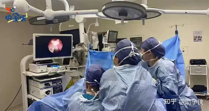 上海三代试管费用（提高试管婴儿成功率？助孕侠带你了解这六个技术！）