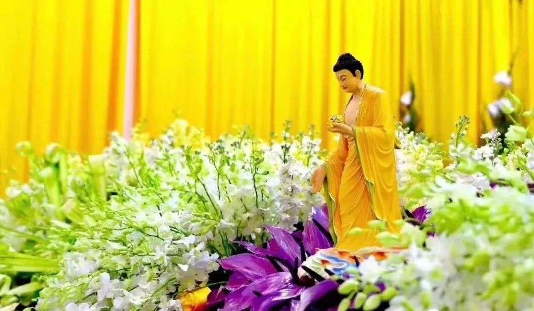 这样供佛菩萨 功德最满 福报最大 知乎