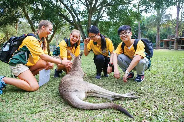 研学旅行收获,请你不要仅仅执着于学习上收获(研学旅行的收获和感悟800)